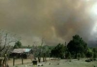 Analizan evacuar a pobladores por voraz incendio en Madera