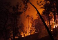 Alarma por incendio en la sierra de Chihuahua