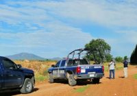 Localizan a un ejecutado en el campo Pampas