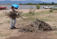 Contratarán 150 personas para limpiar el arroyo San Antonio