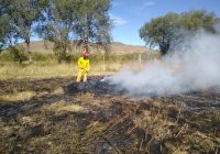 Atienden incendio de pastizal en carretera libre