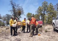 Se activan brigadistas para atención a incendios en Guachochi