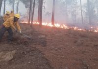 Invita Cáritas de Chihuahua a donar víveres para brigadistas contra incendios de la Sierra Tarahumara