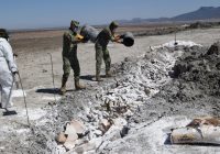 Limpieza de la Laguna de Bustillos a un 80%