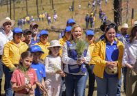 Impulsa Maru Campos la reforestación y el desarrollo sustentable en beneficio de 10 mil habitantes de la Sierra Tarahumara